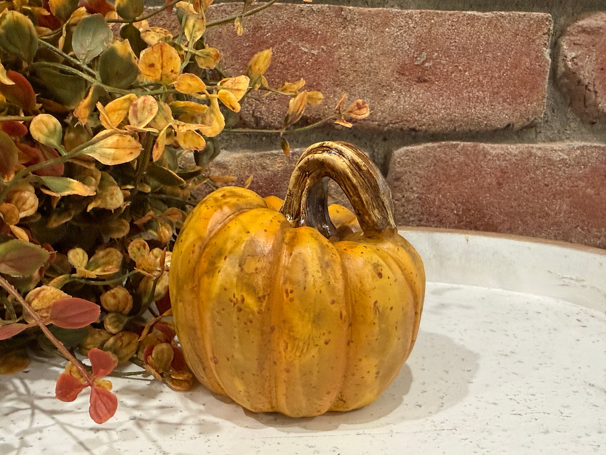 Harvest Pumpkins - Small - 3 Styles