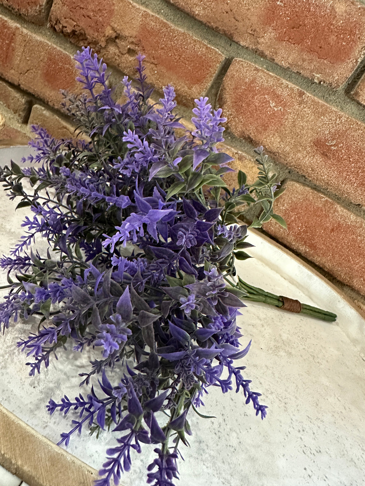 Provence Plains Lavender Bush