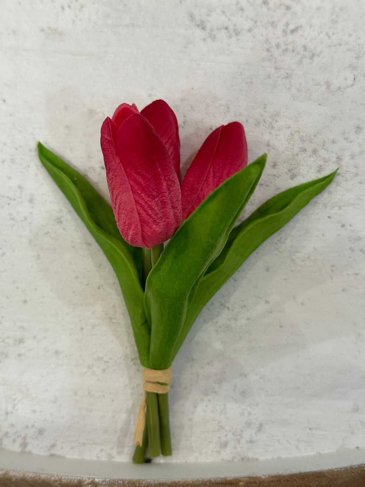 Mini Tulips - 6 Styles