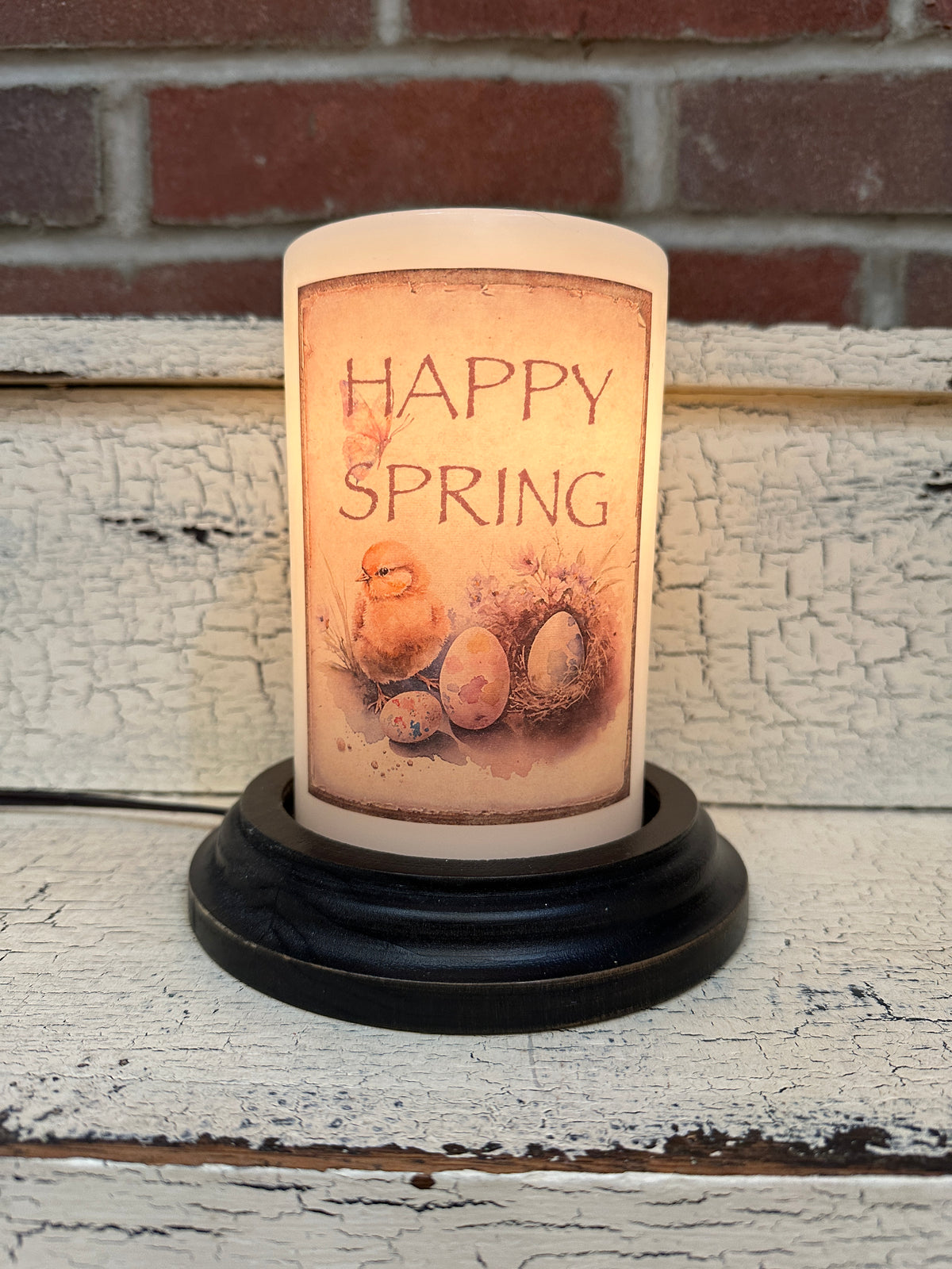 Primitive Spring Chick Candle Sleeve