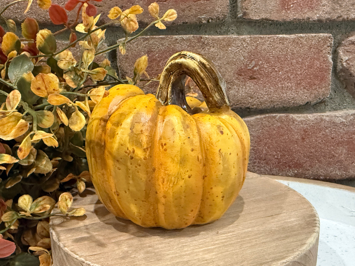 Harvest Pumpkins - Small - 3 Styles