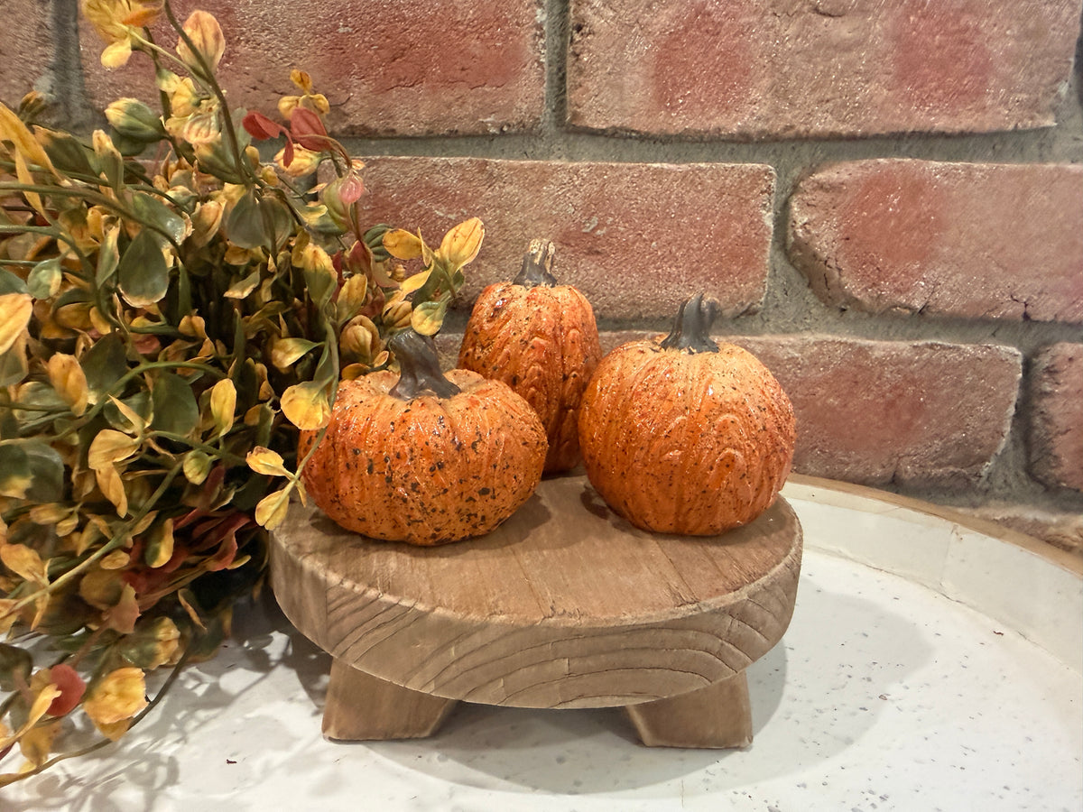 Mini Rustic Pumpkins -3 Styles