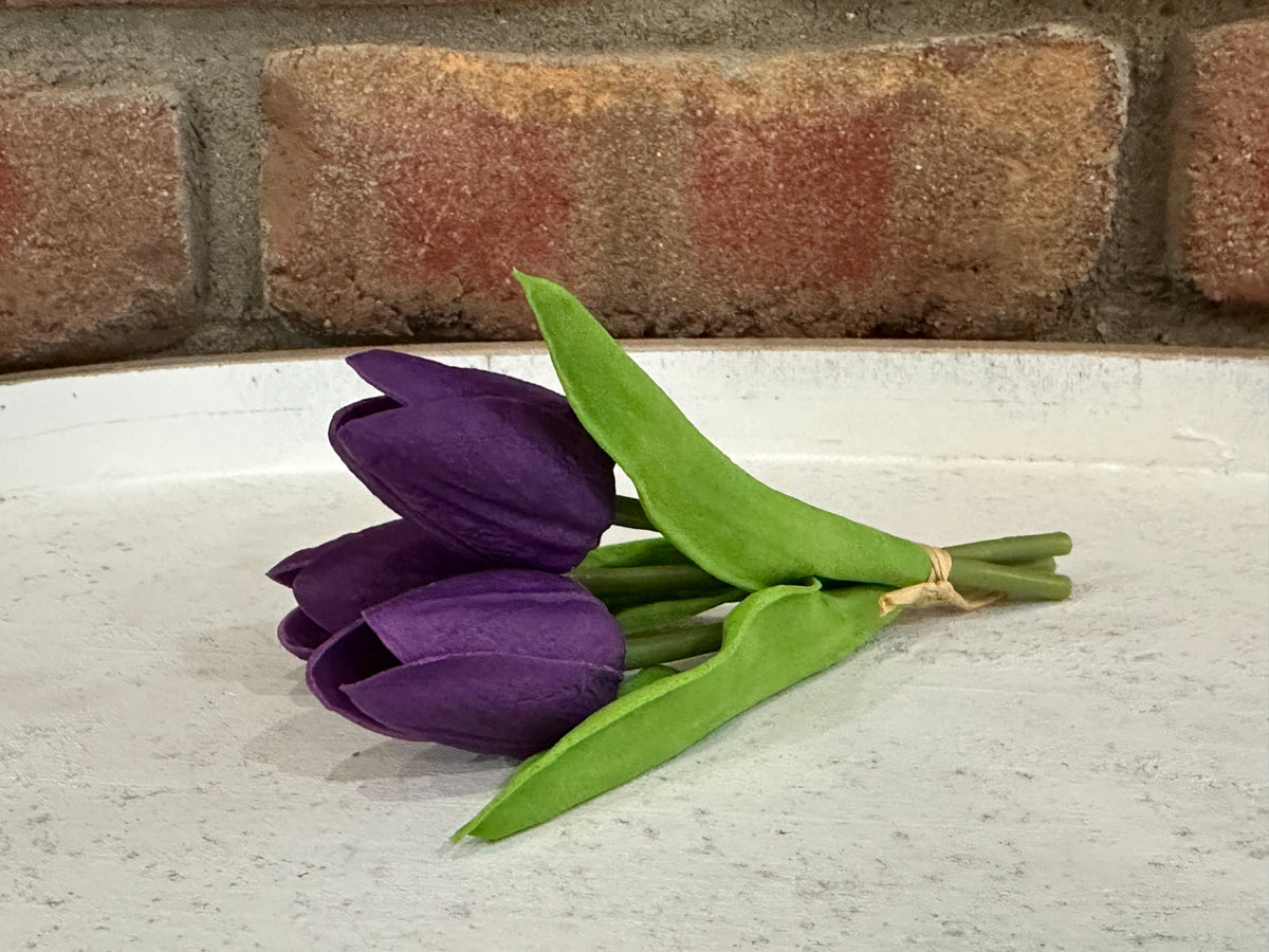 Mini Tulips - 6 Styles