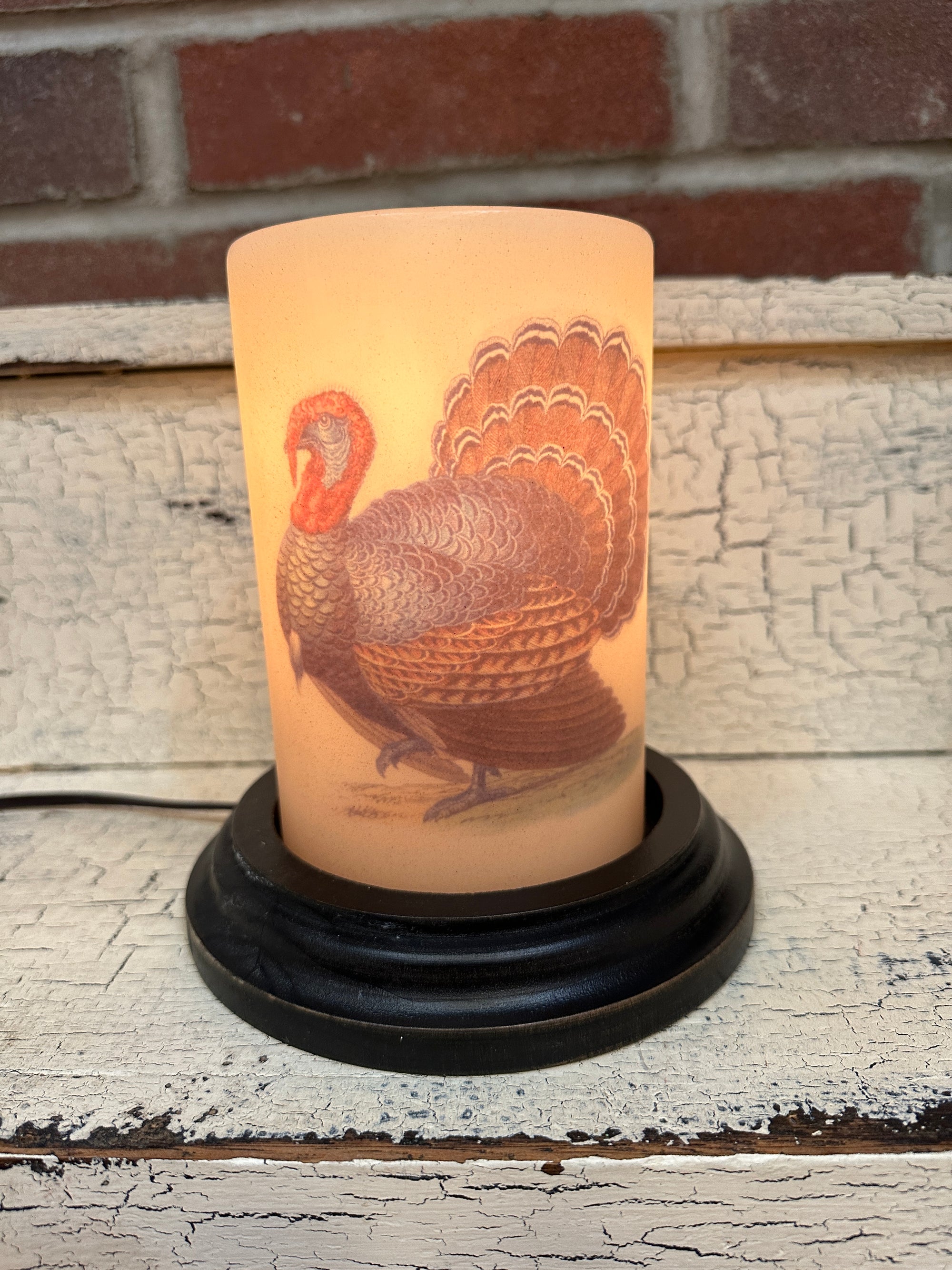 Large Turkey Candle Sleeve - Light
