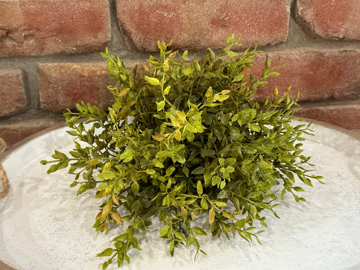 Lemon Beauty Half Sphere