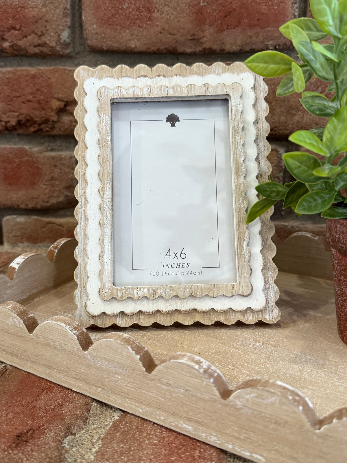 Scallop Photo Frame - Natural + White