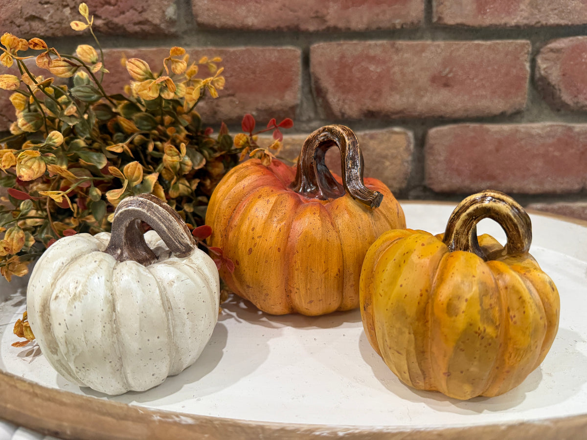 Harvest Pumpkins - Large - 3 Styles