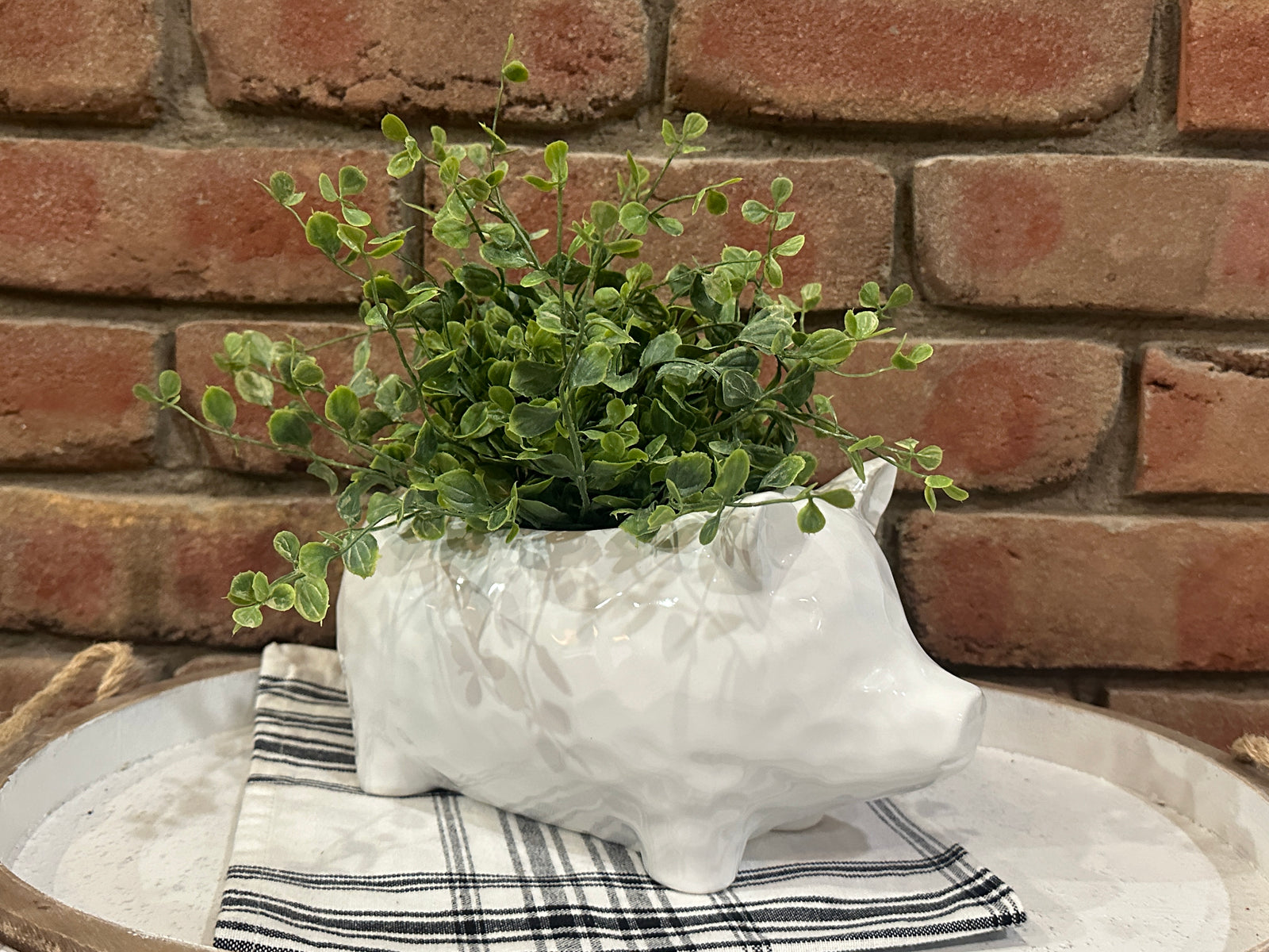White Pig Planter