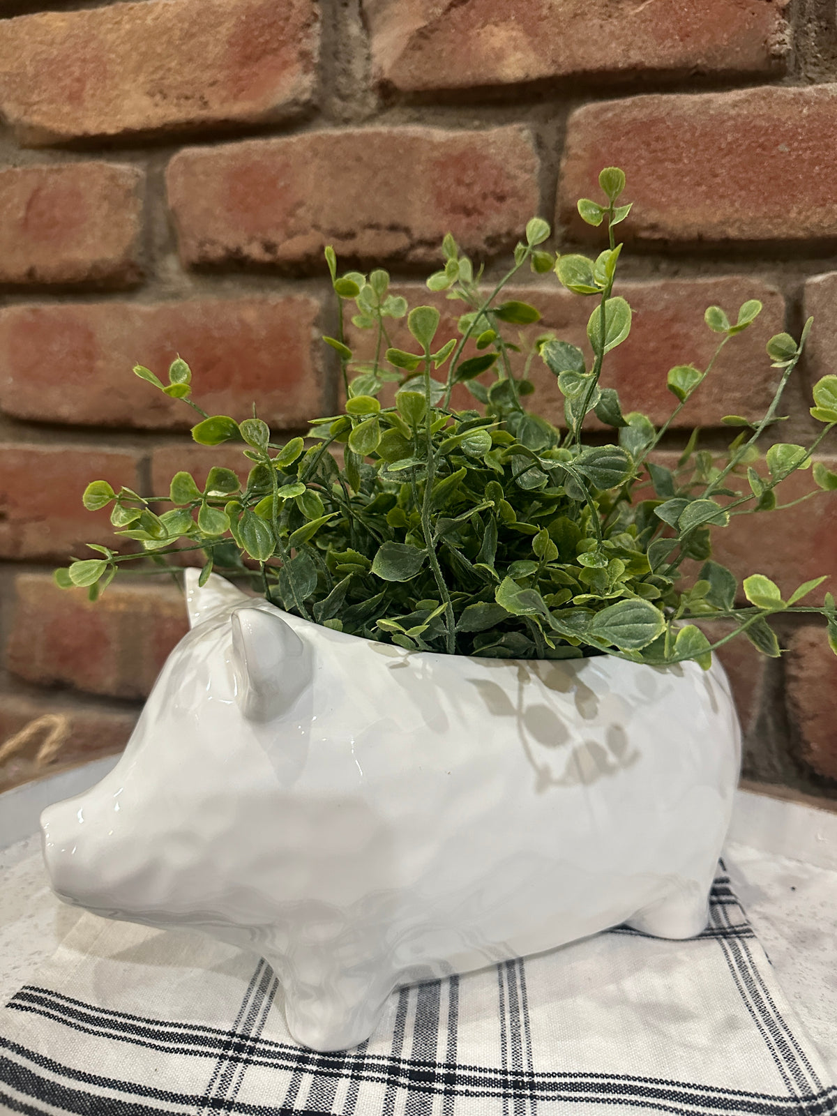 White Pig Planter