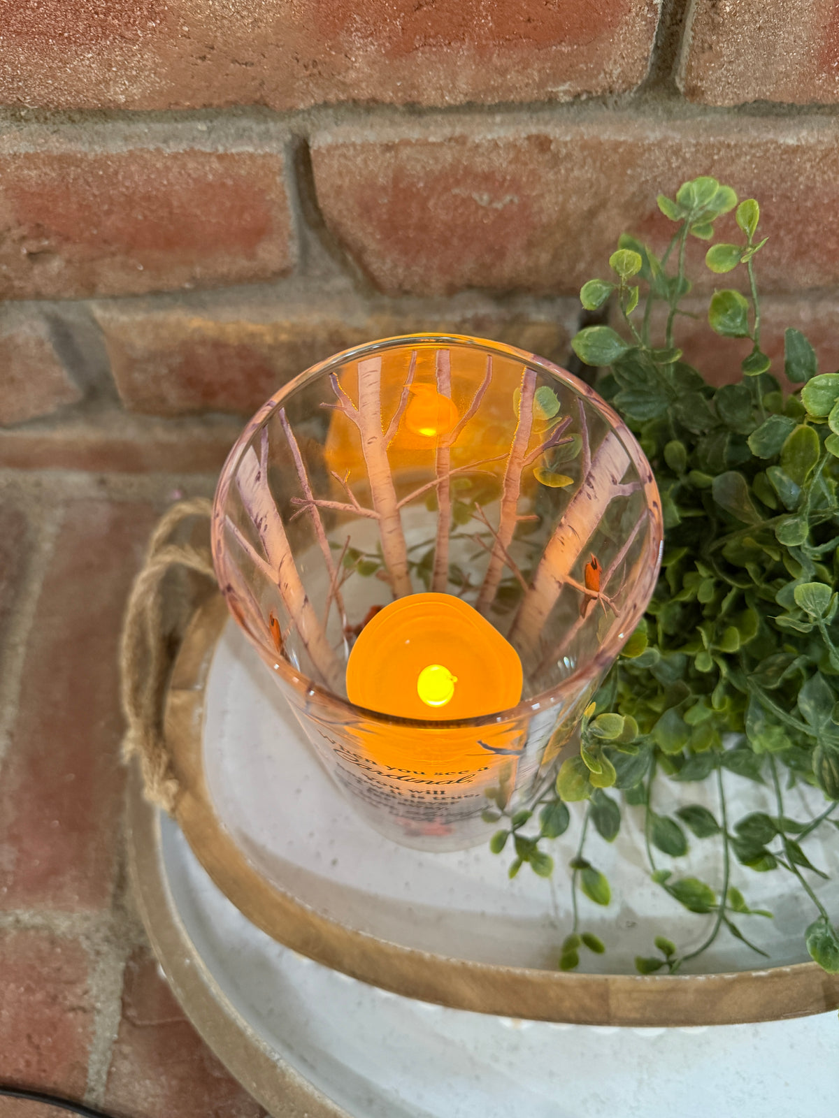 Cardinal Hurricane Candle