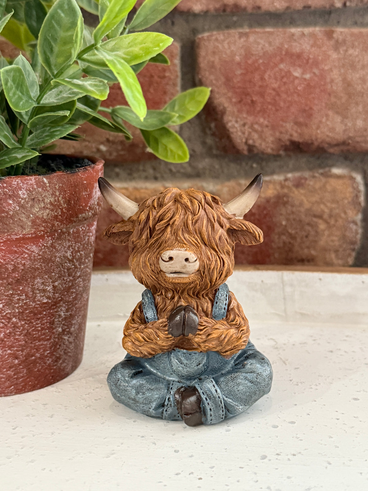Highland Cow Yoga - 3 Styles