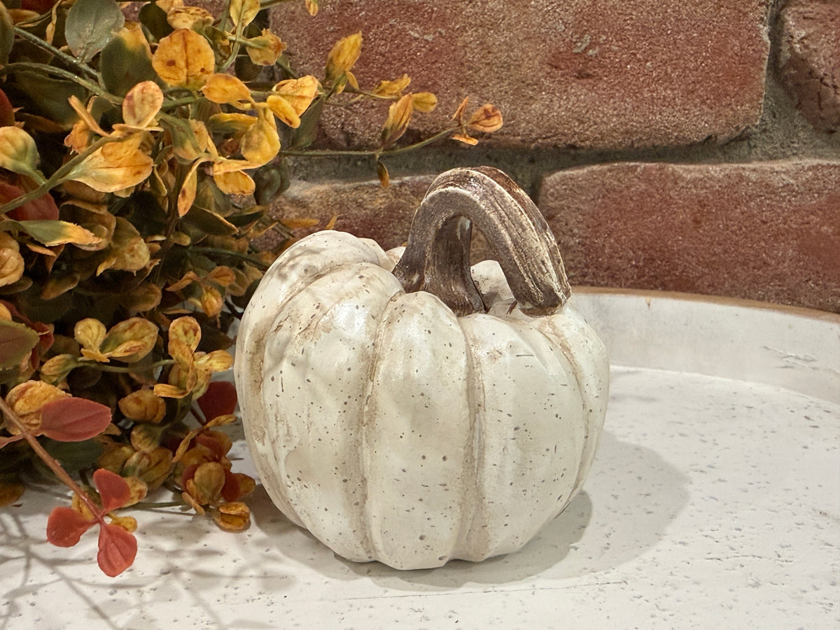 Harvest Pumpkins - Small - 3 Styles