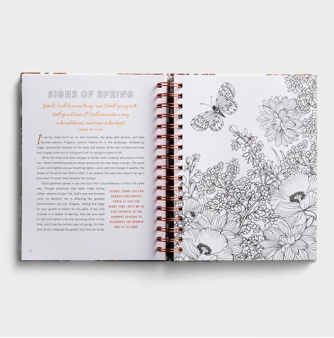 Set Your Mind on Things Above: Devotional Coloring Book