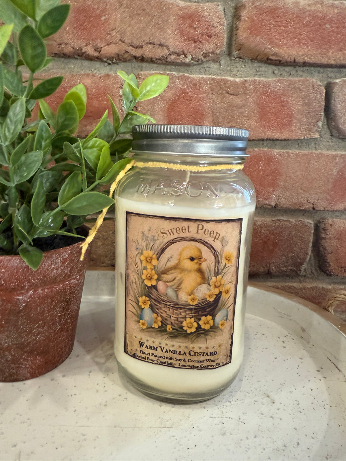 Sweet Peeps Warm Vanilla Custard Jar Candles - 2 Sizes