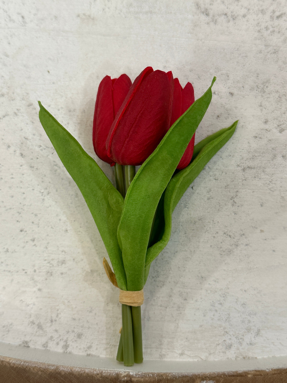 Mini Tulips - 6 Styles