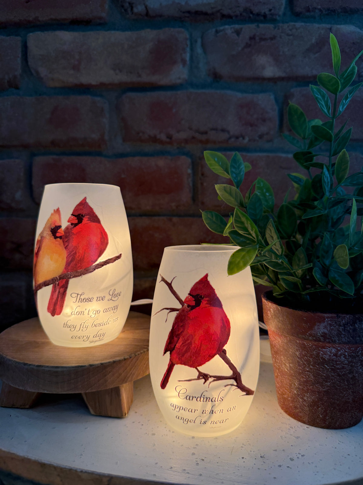 Cardinal Lighted Vase - Two Styles