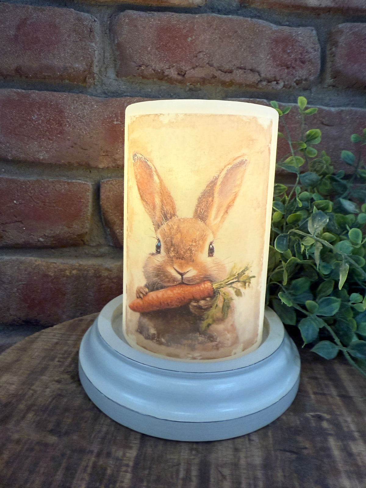 Mopsy Bunny Carrot Candle Sleeve