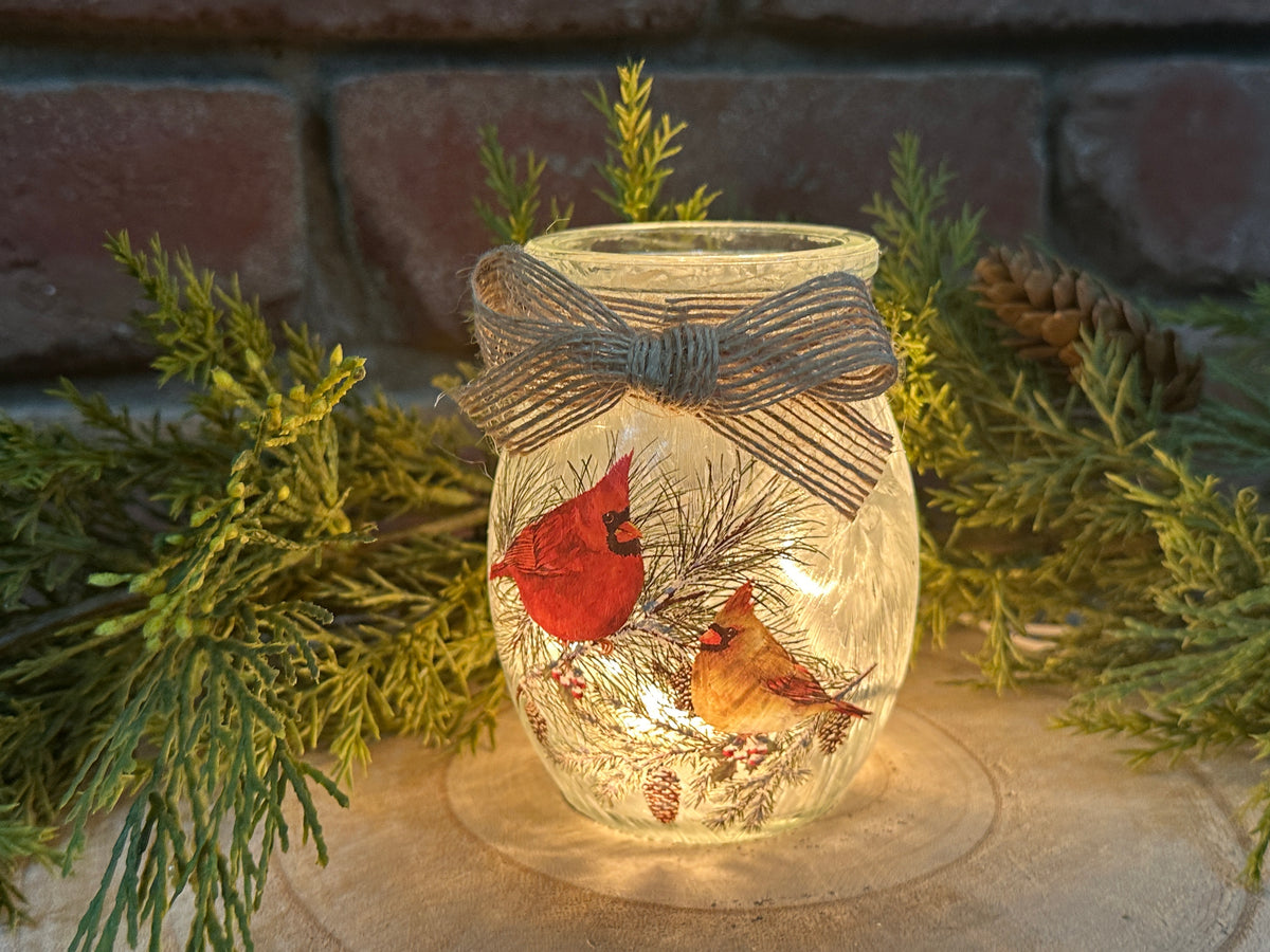 Winter Cardinal Light