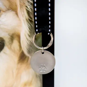 Pawprints Left by You Memorial Frame