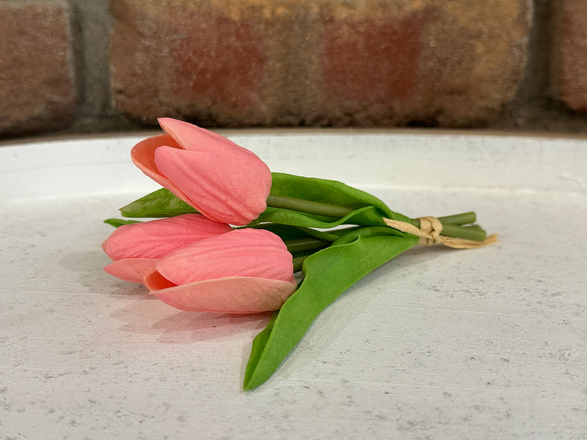 Mini Tulips - 6 Styles