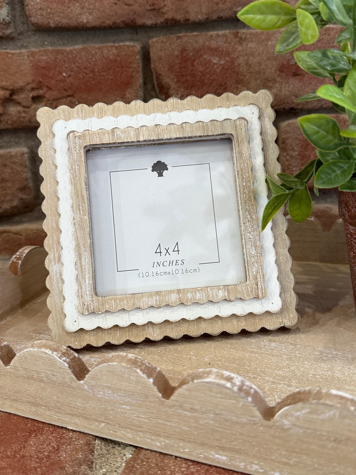 Scallop Photo Frame - Natural + White