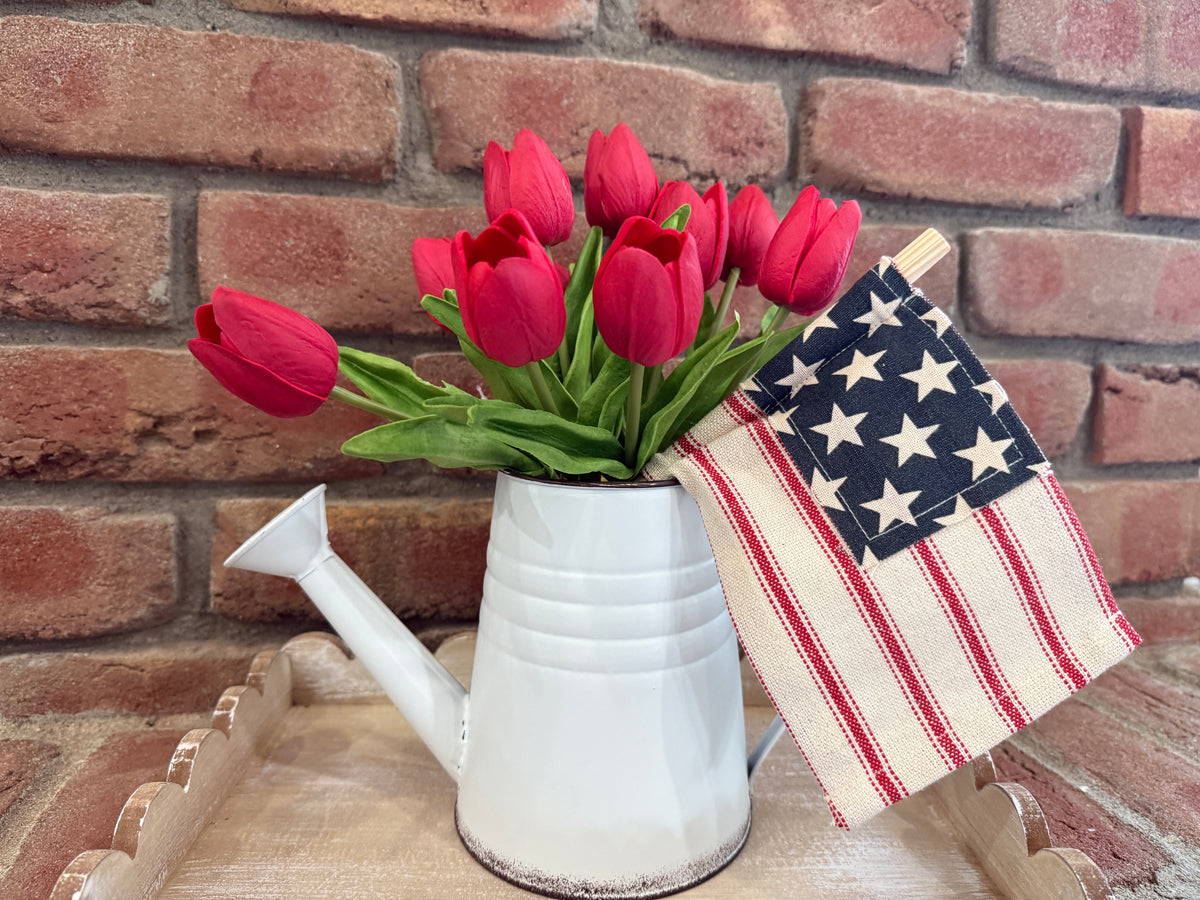 Star Spangled Watering Can Arrangement