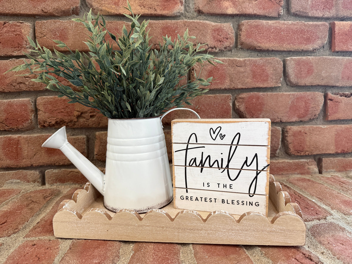 White Watering Can + Twilight Ash Arrangement - Two Styles