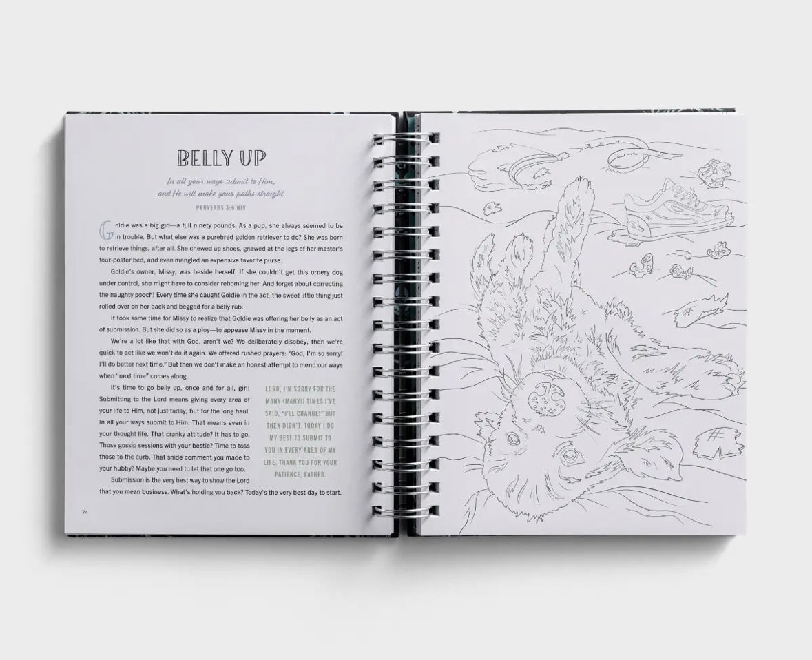 Be Still &amp; Know: Devotional Coloring Book