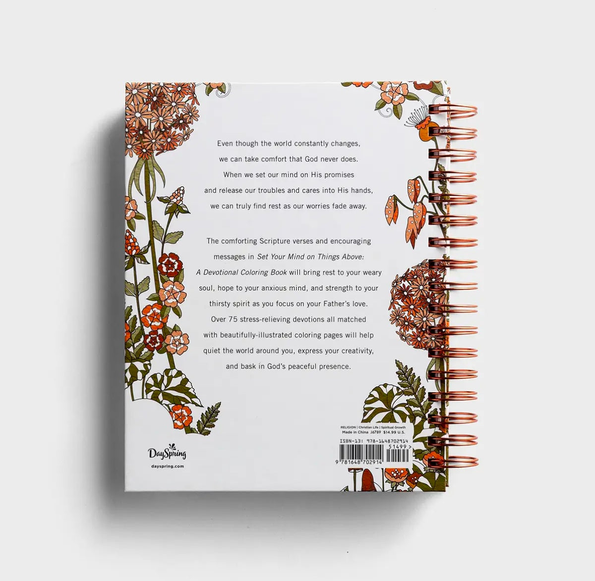 Set Your Mind on Things Above: Devotional Coloring Book