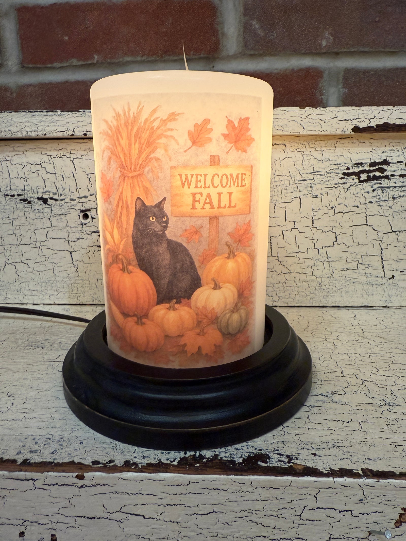 Autumn Welcome Cat Candle Sleeve