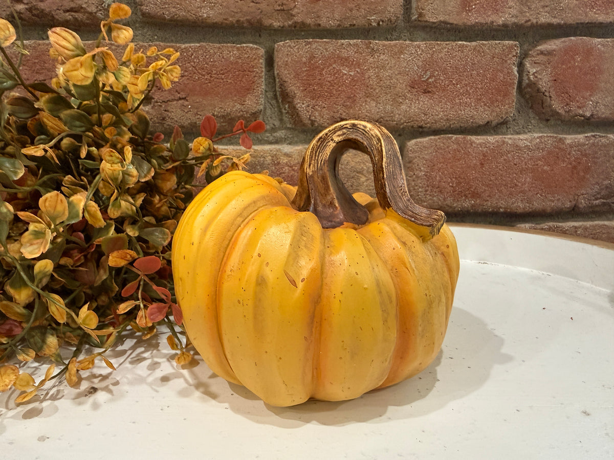 Harvest Pumpkins - Large - 3 Styles