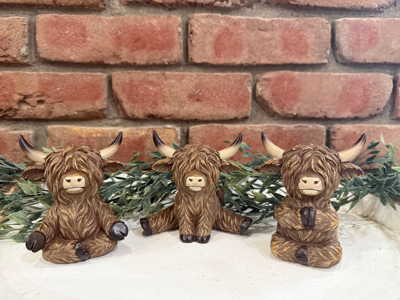 Highland Cow Yoga - 3 Styles