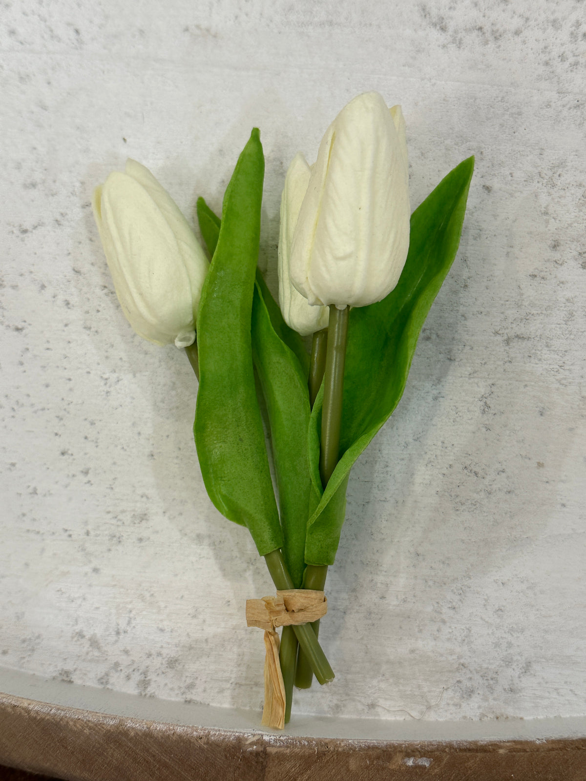 Mini Tulips - 6 Styles