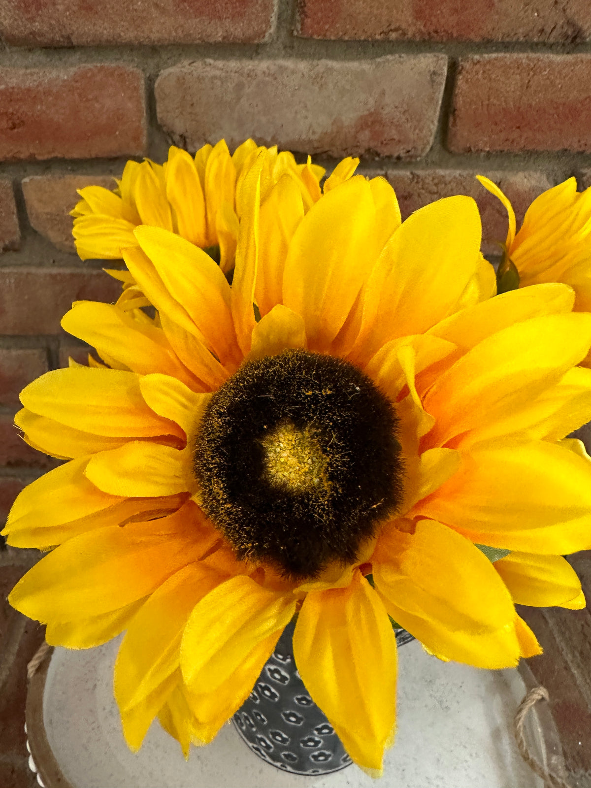 Sunflower Bouquet Planter Arrangement