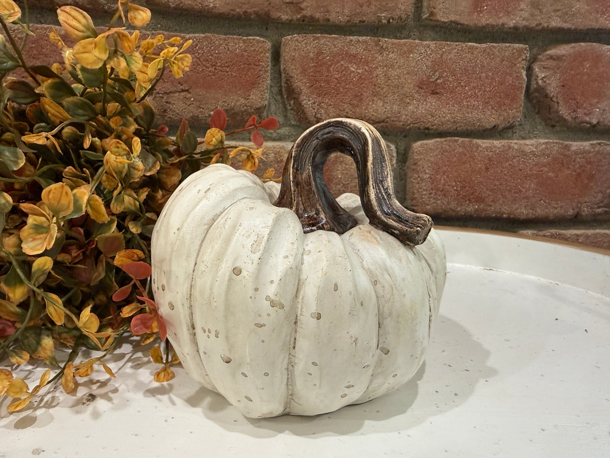 Harvest Pumpkins - Large - 3 Styles