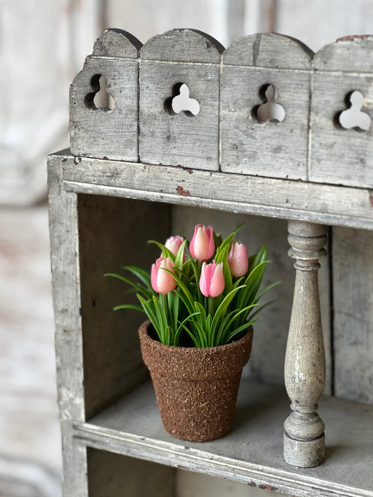 Teacup Tulip Pot - 4 Colors