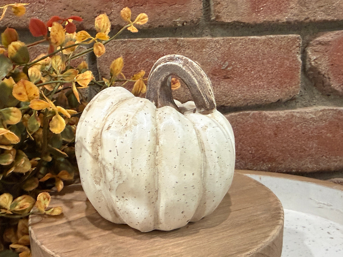 Harvest Pumpkins - Small - 3 Styles