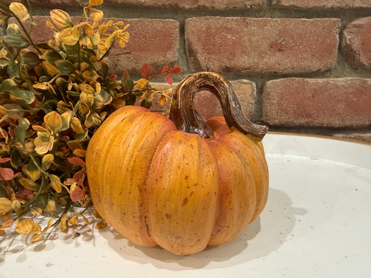 Harvest Pumpkins - Large - 3 Styles