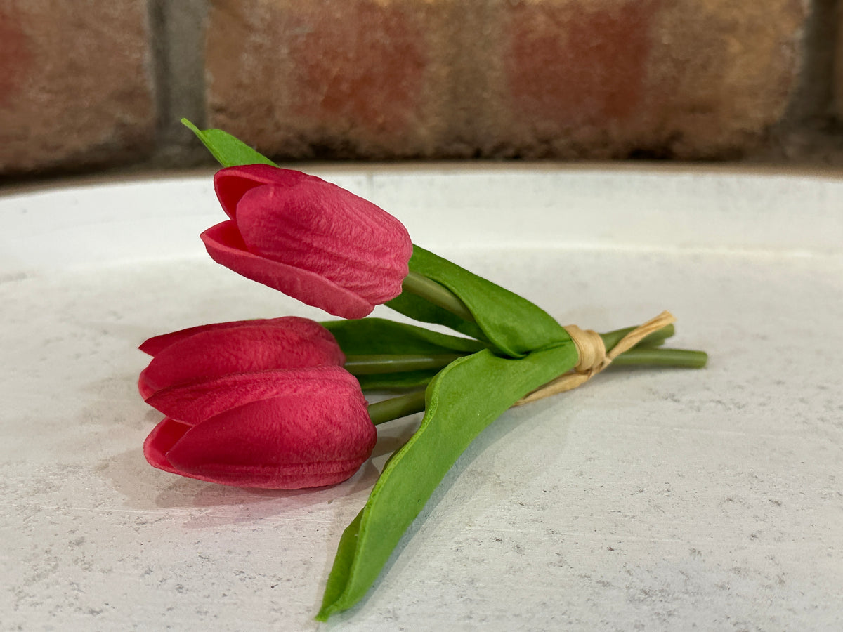 Mini Tulips - 6 Styles