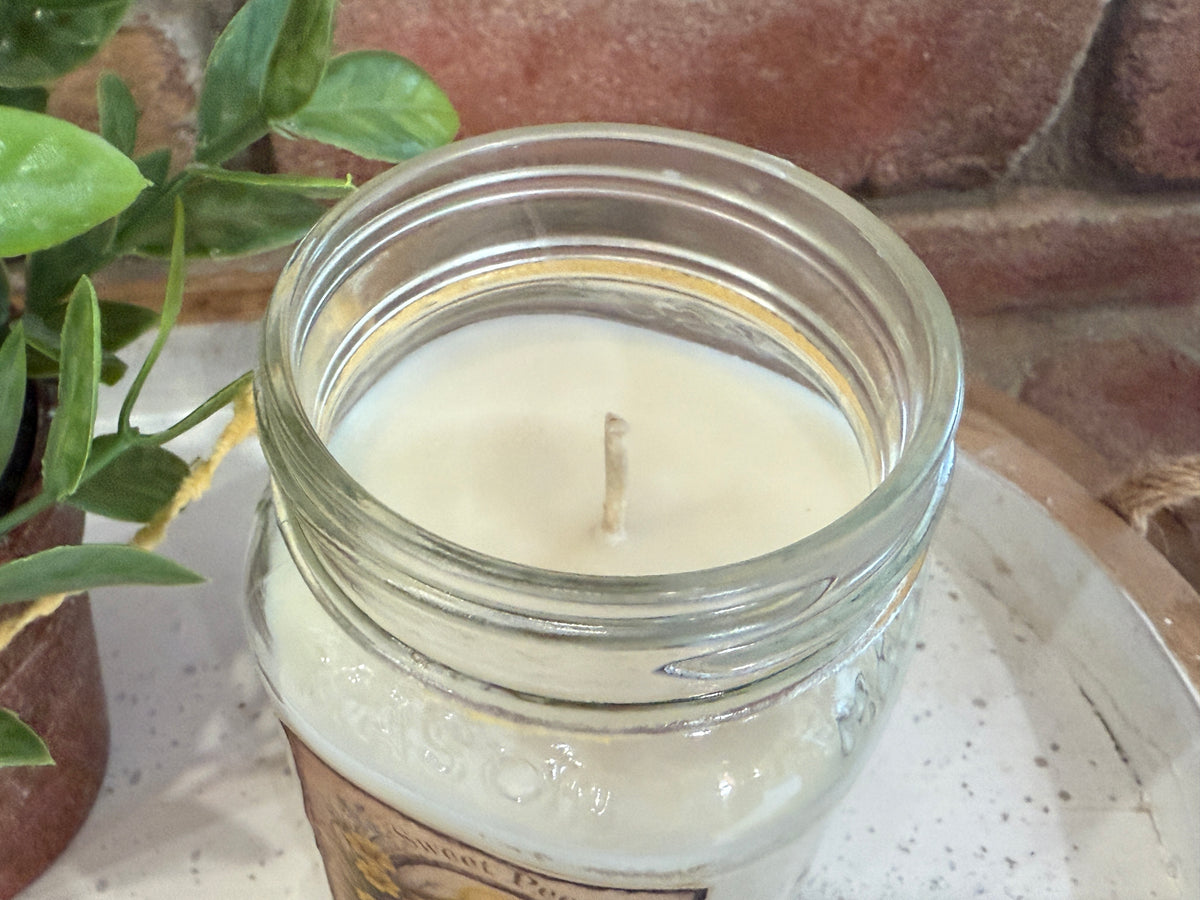 Sweet Peeps Warm Vanilla Custard Jar Candles - 2 Sizes