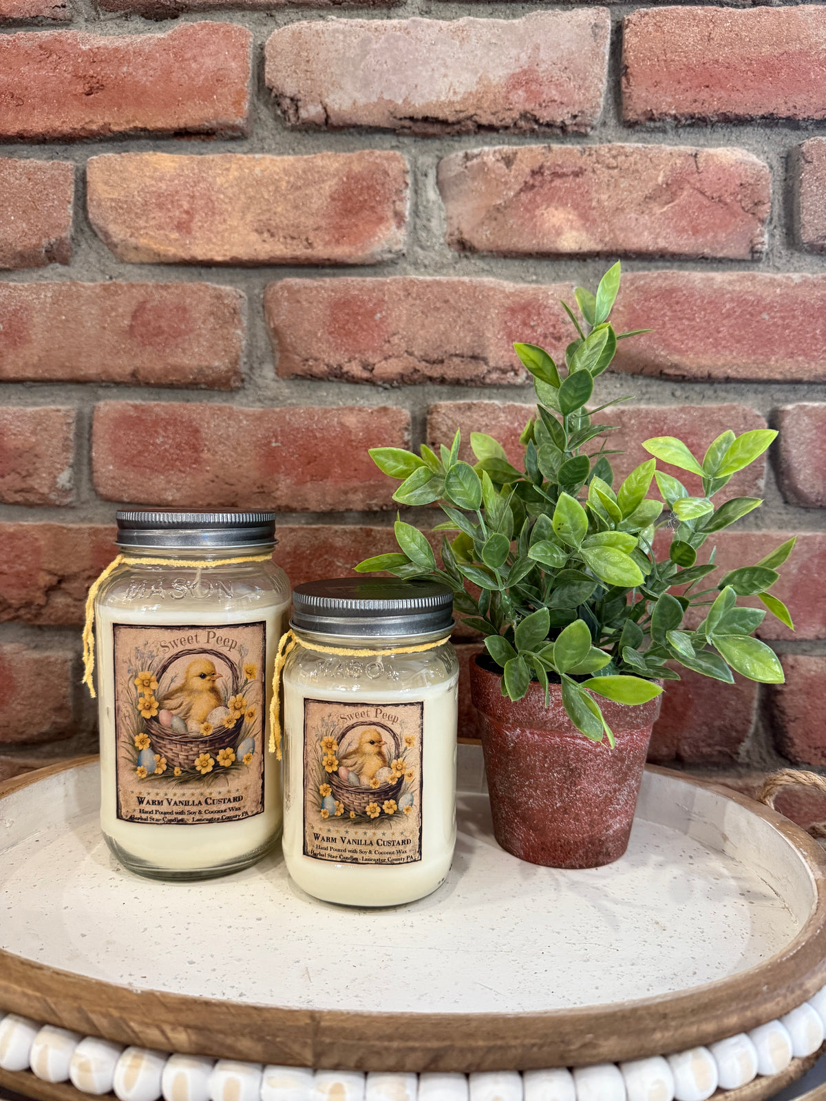 Sweet Peeps Warm Vanilla Custard Jar Candles - 2 Sizes