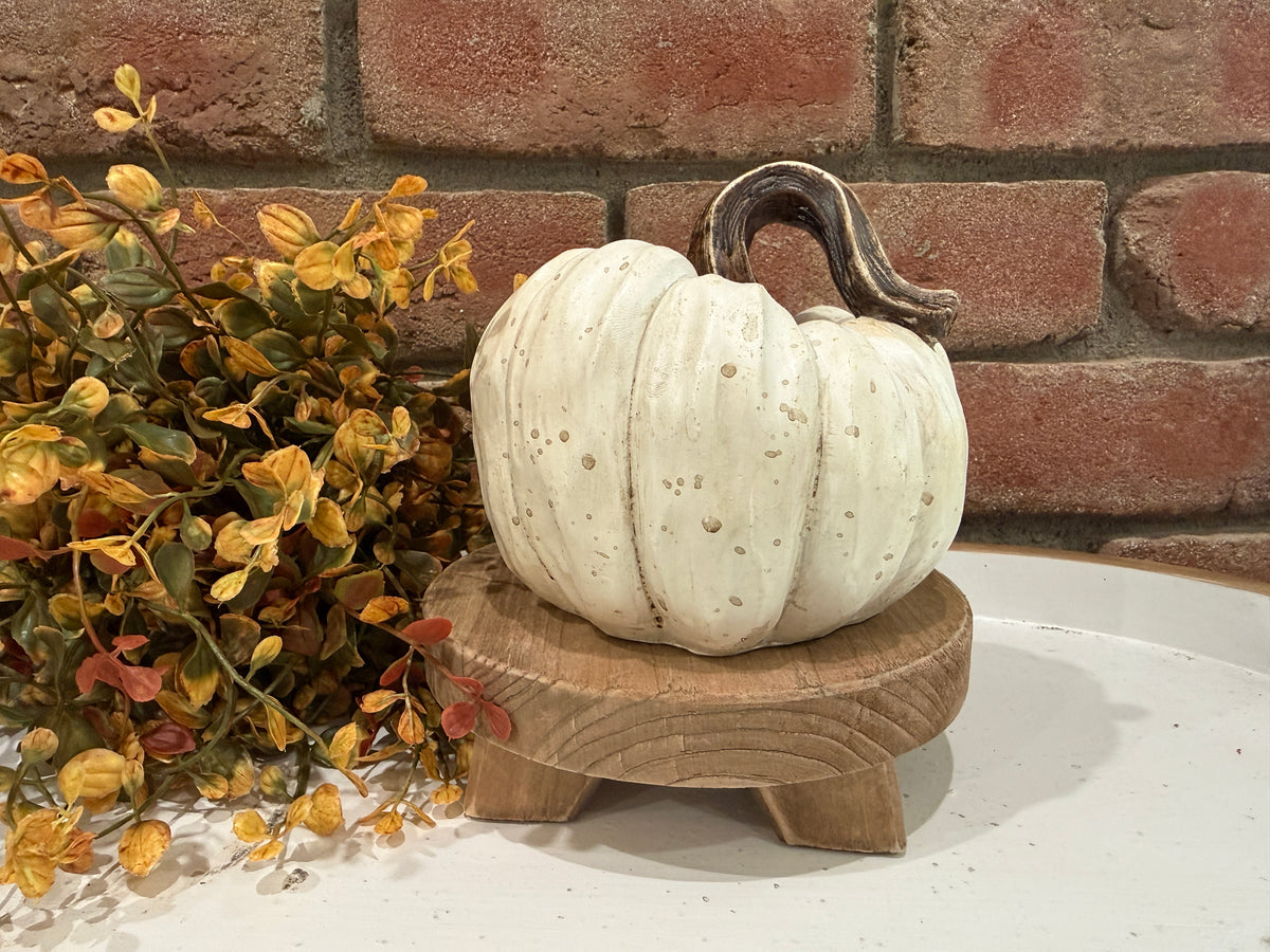 Harvest Pumpkins - Large - 3 Styles
