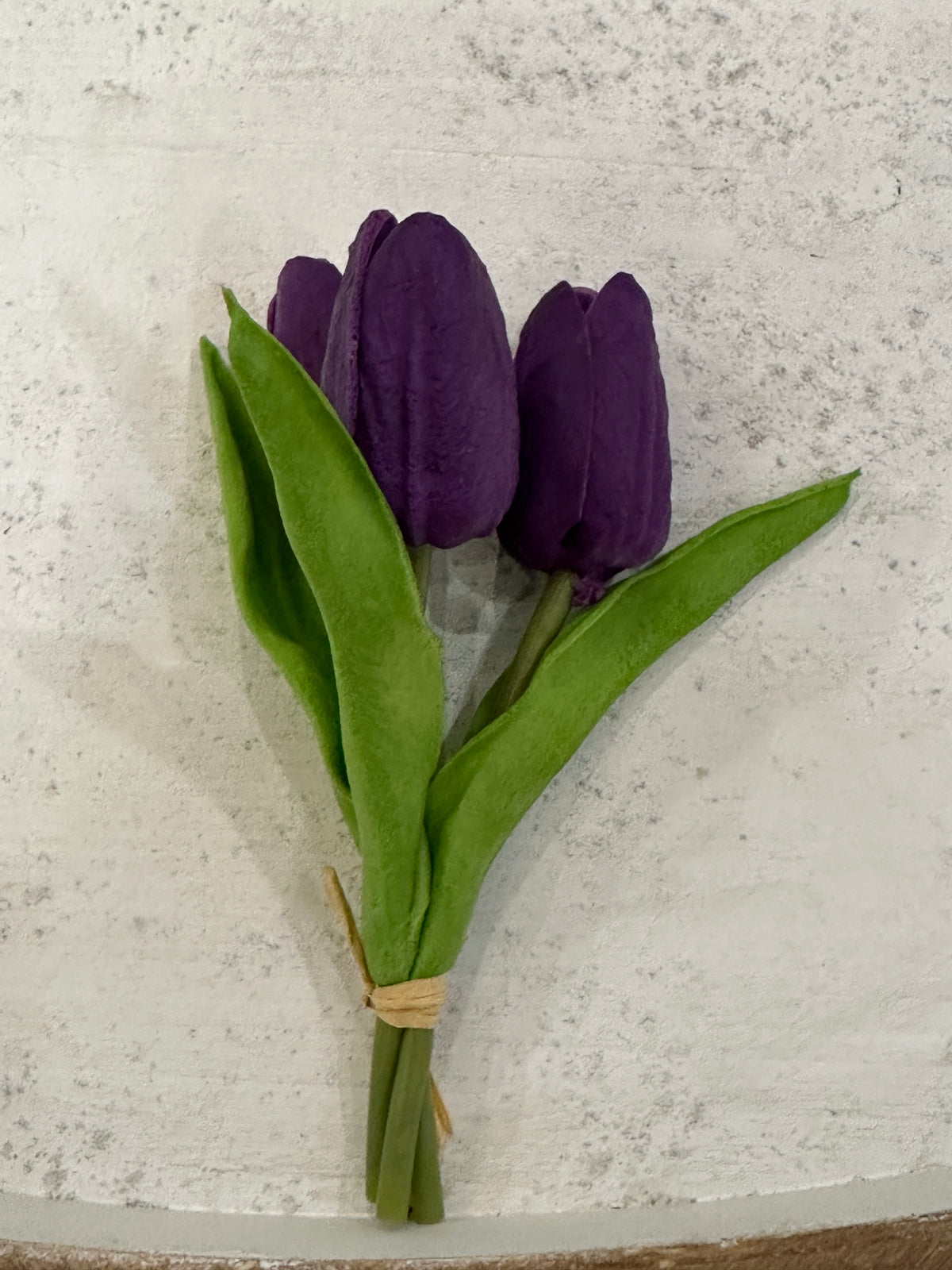 Mini Tulips - 6 Styles