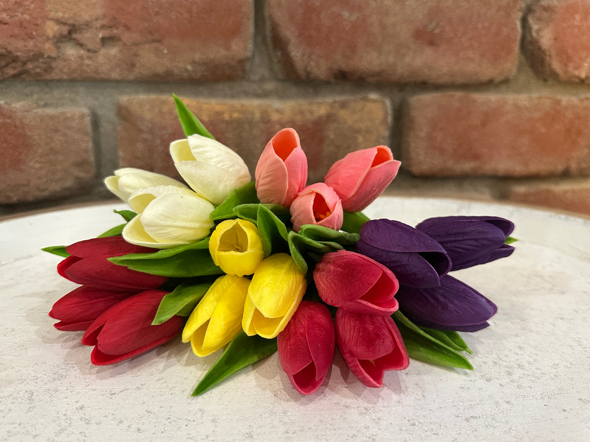 Mini Tulips - 6 Styles