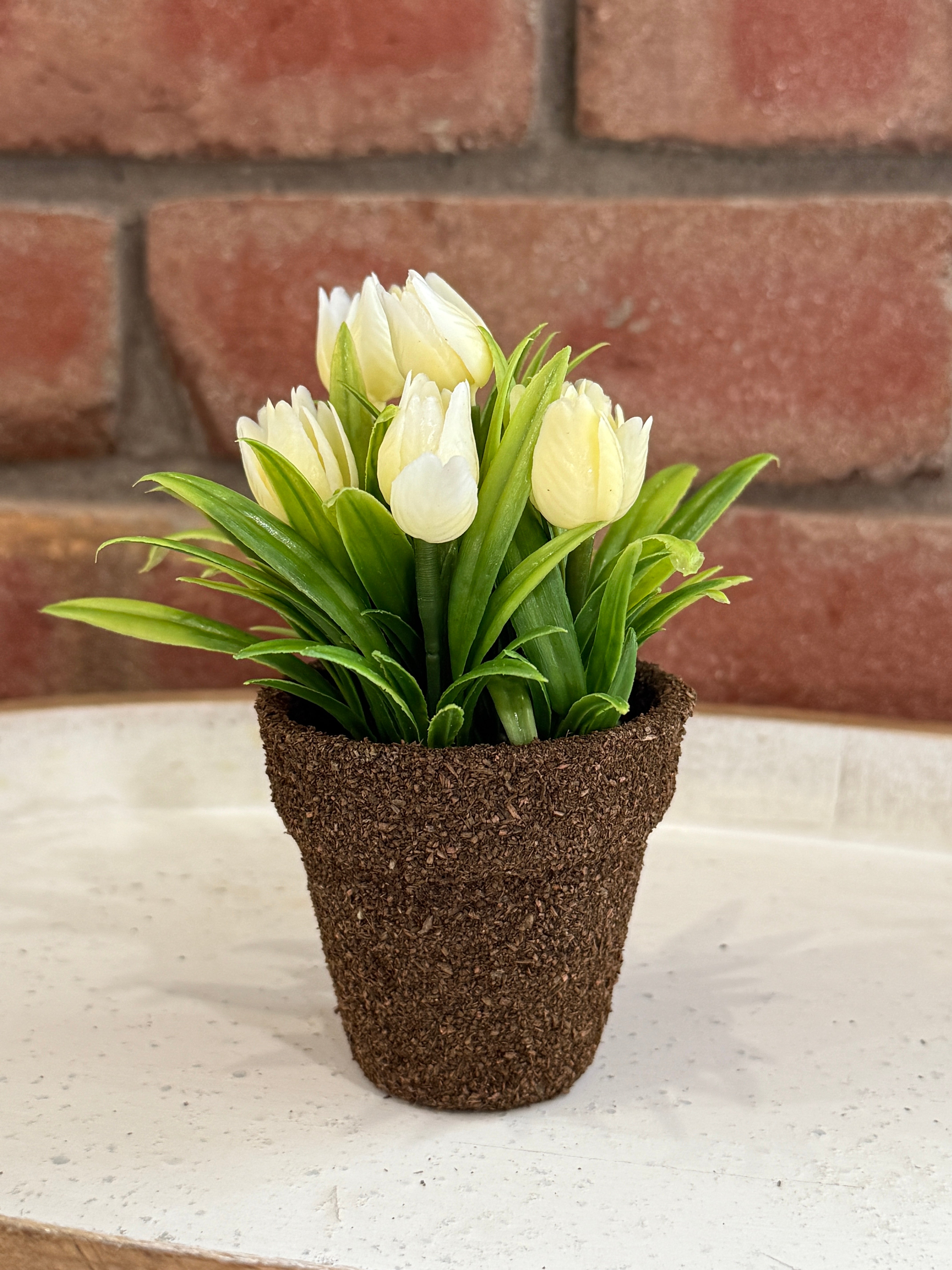 teacup pot plant Teacup Tulip Pot - 4 Colors