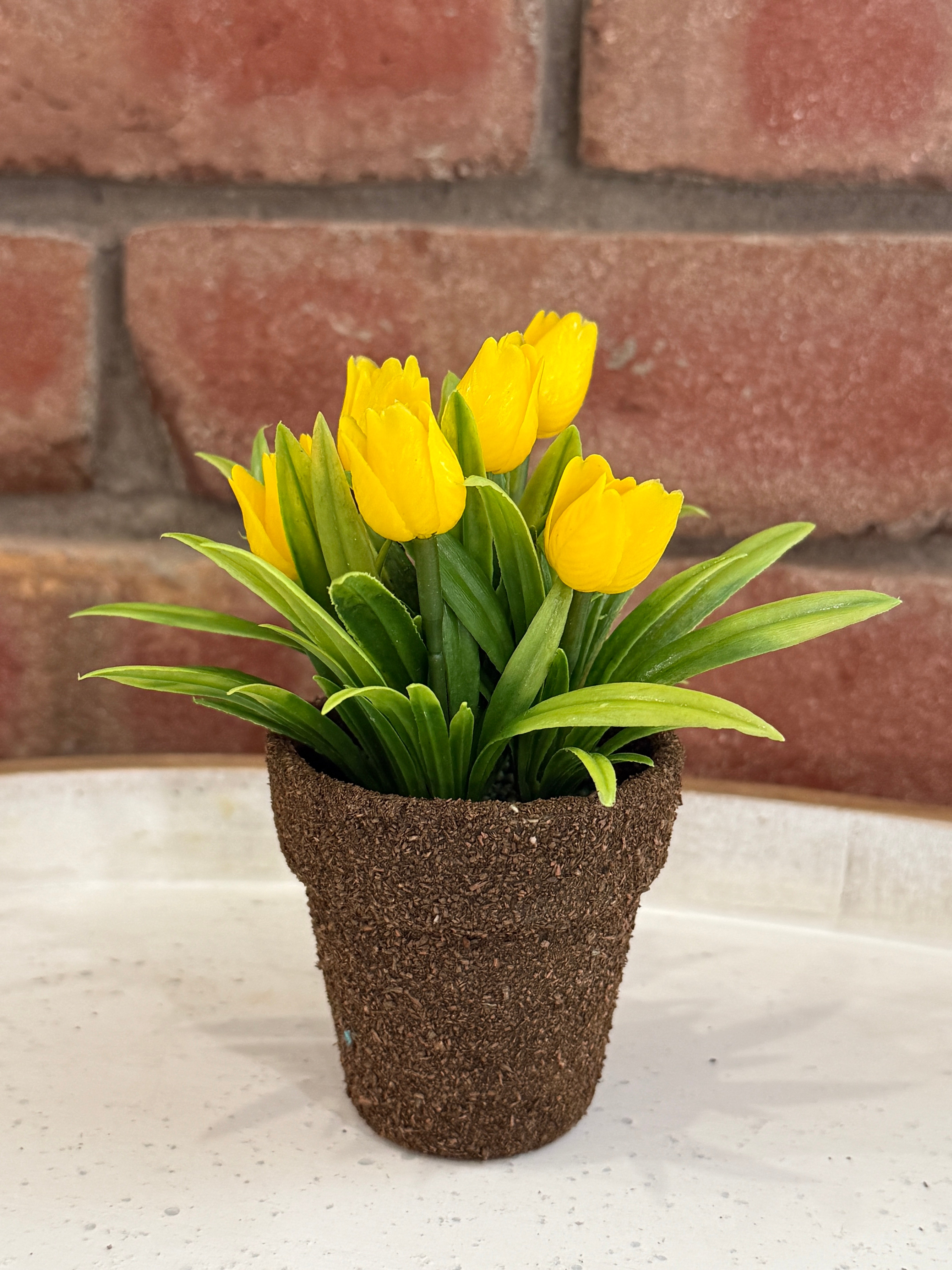 tulip shaped plant pot Teacup Tulip Pot - 4 Colors