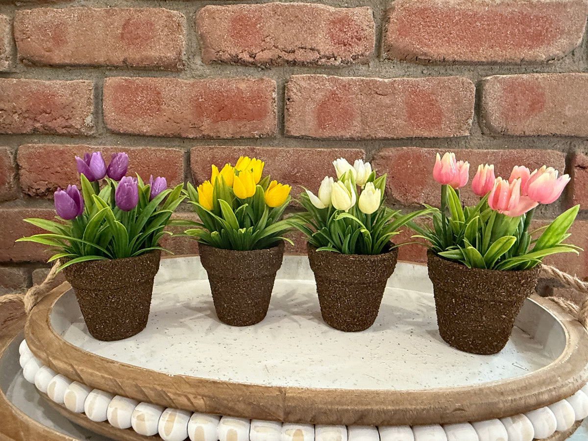 Teacup Tulip Pot - 4 Colors