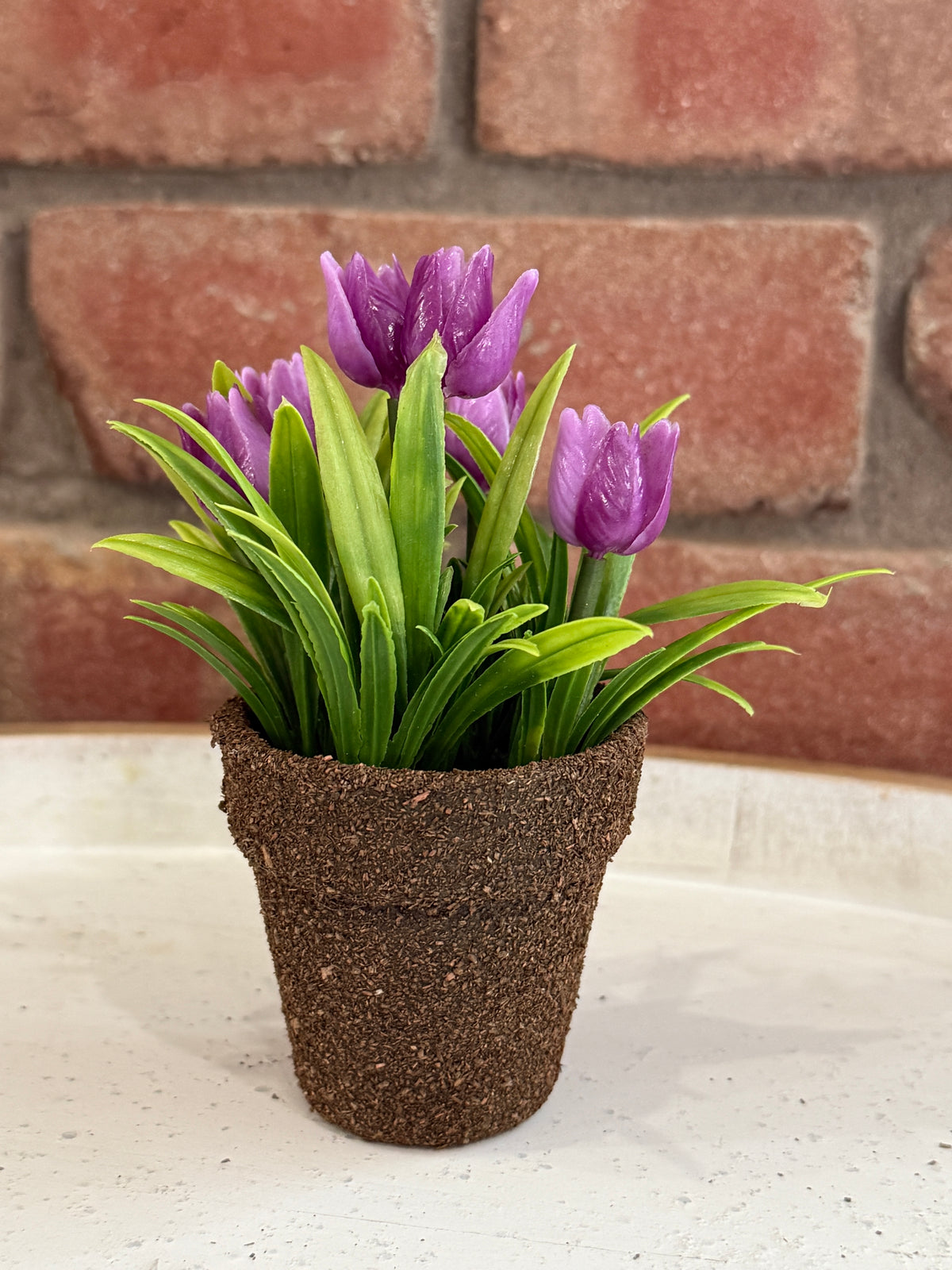 Teacup Tulip Pot - 4 Colors