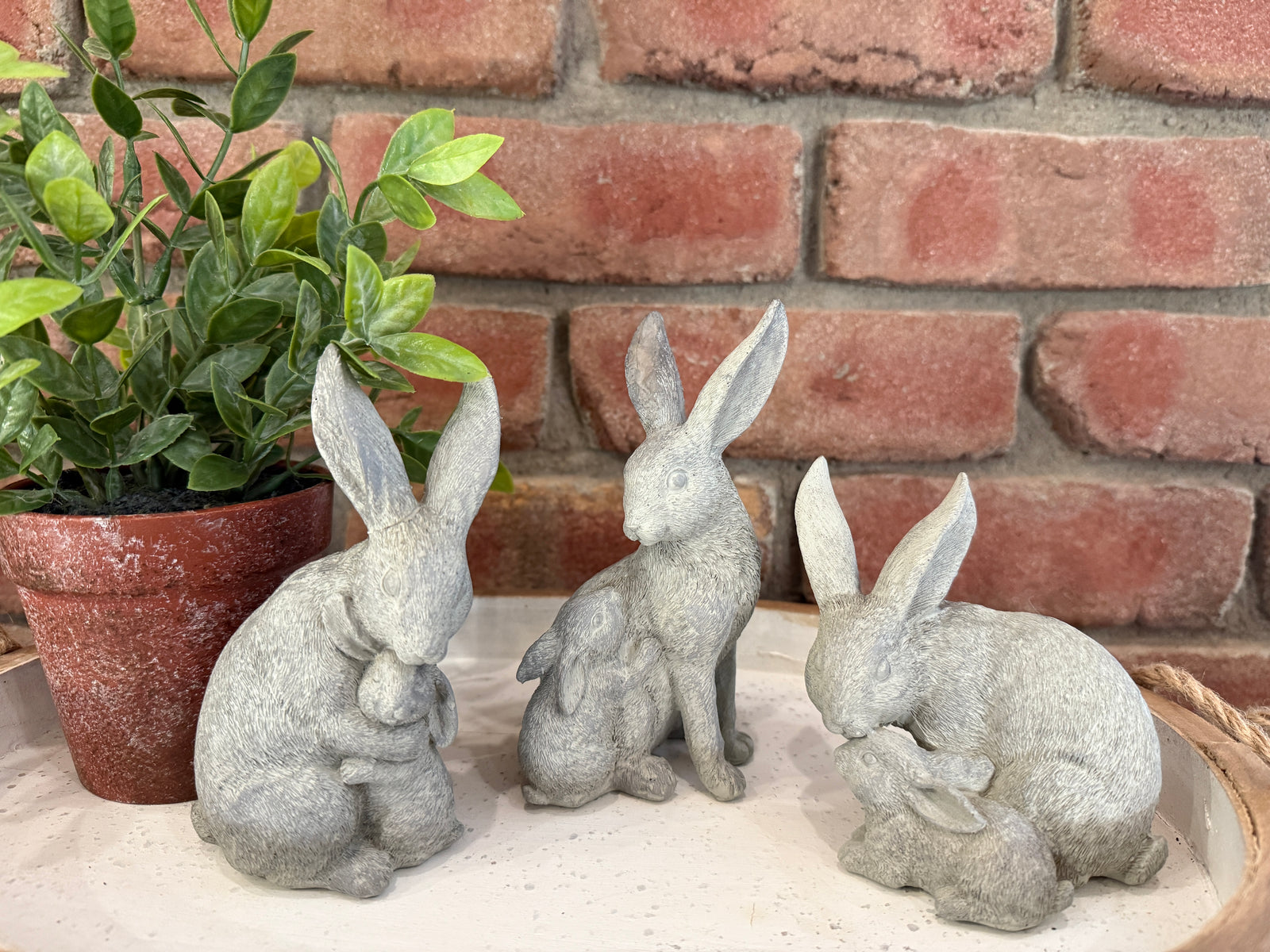 Rabbit with Baby - 3 Styles