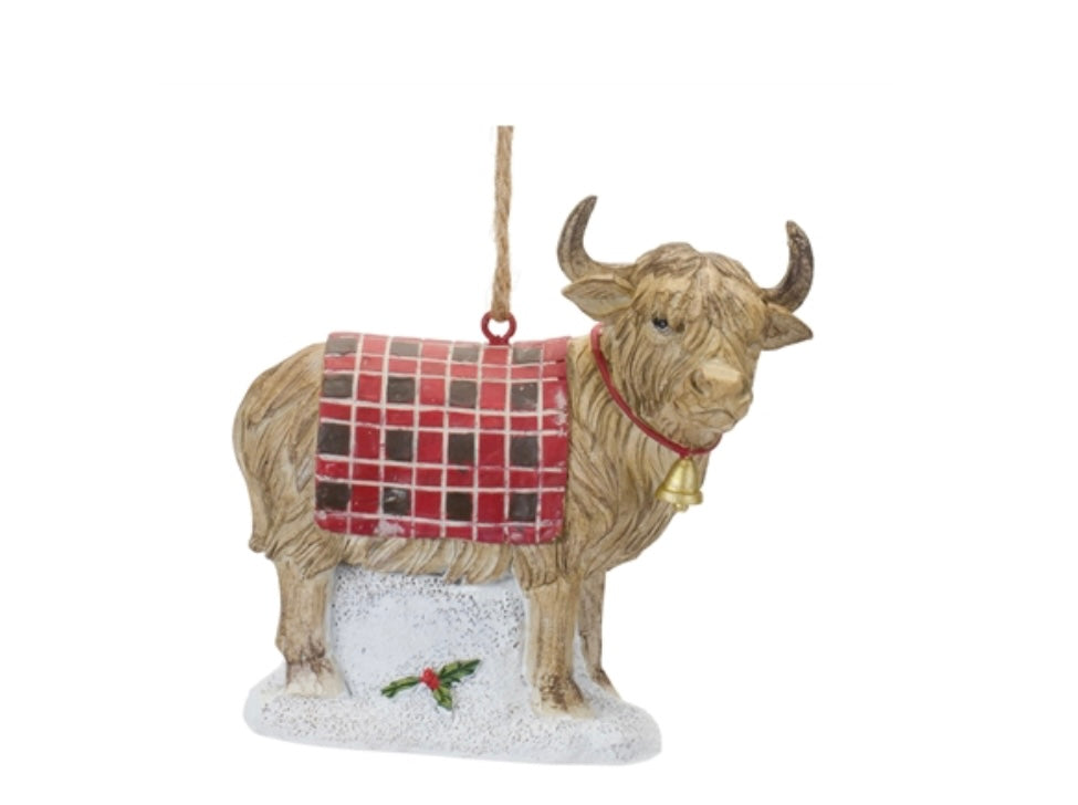 Highland Cow - Two styles